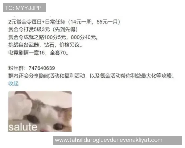 深度对话：周秀英在英雄联盟中的成长与挑战之路