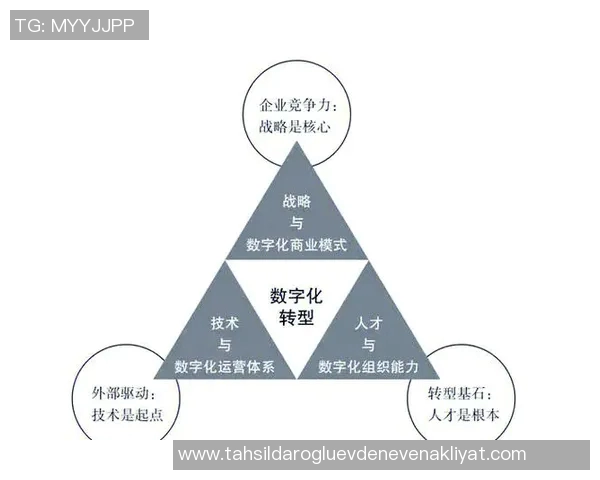 以互联网信息为核心推动社会变革数字化时代的机遇与挑战分析