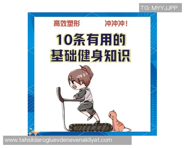 全面提升体能与健康的健身计划，从基础训练到进阶技巧全攻略