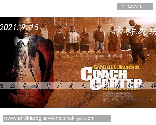 杨丽的篮球人生：从梦想起步到巅峰成就的深度对话