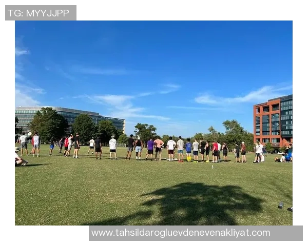 独家解析北京飞盘队比赛经验与其他队伍的差异与启示