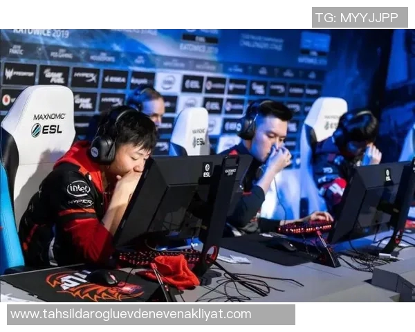 CSGO战队IG的转型之路与未来发展趋势深度分析