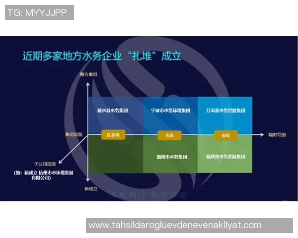 上海羽毛球队整体压制现象分析与未来发展展望