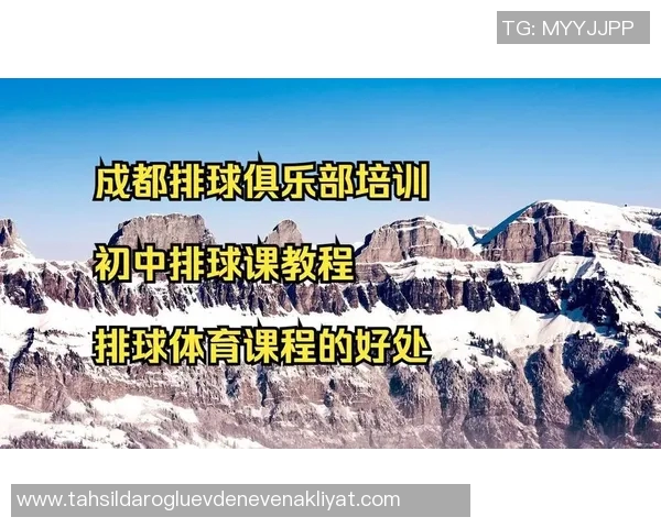 专业解读：成都排球队的节奏打法