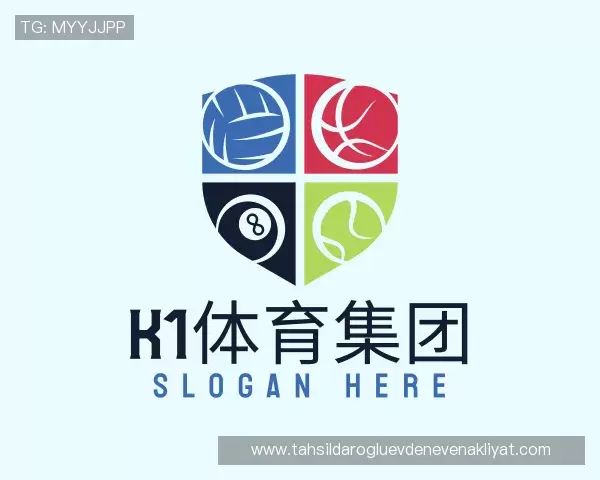 了解k1体育